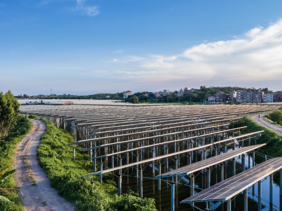 Rüzgar Gülleri Enerji Sistemleri Nedir?